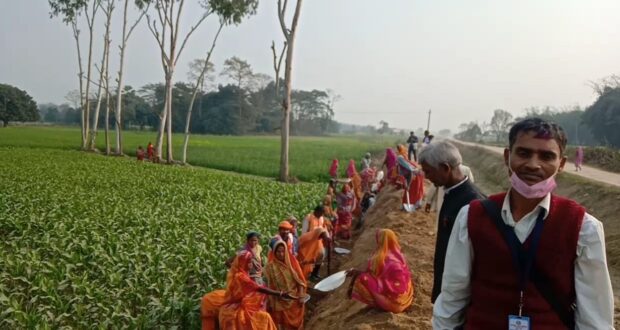 वृन्दावन नपाले १ सय जना बेरोजगारलाई ४० दिनको रोज़गारी गरे प्रदान
