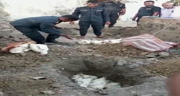 ई.प्र.का. कोपवाको प्रहरी गस्ती टोलीद्वारा अवैध कुखुरा गरियो नष्ट ।