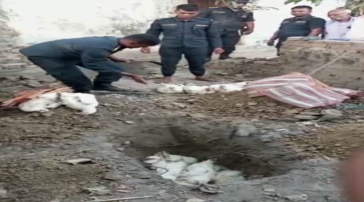 ई.प्र.का. कोपवाको प्रहरी गस्ती टोलीद्वारा अवैध कुखुरा गरियो नष्ट ।