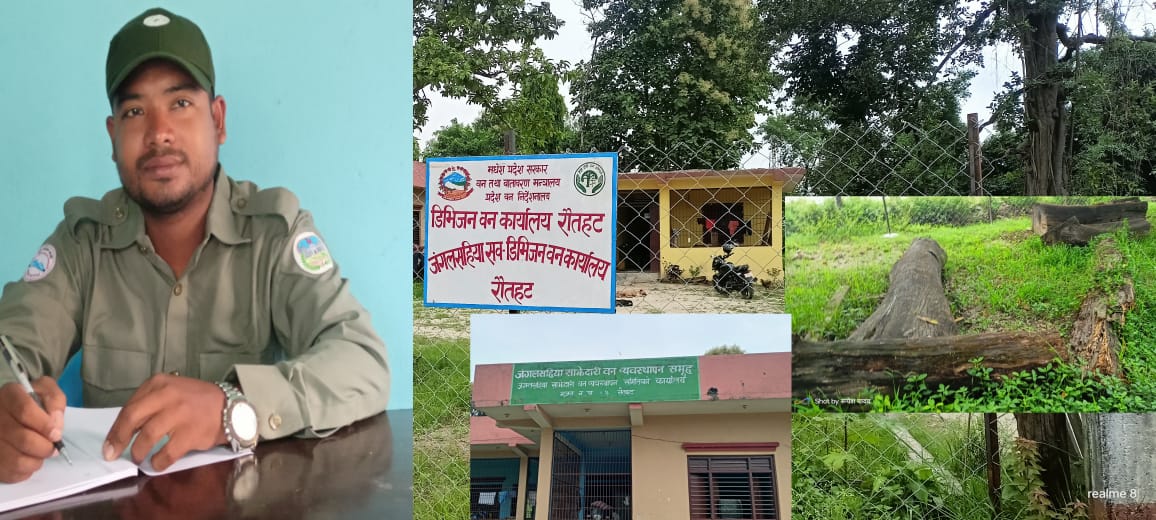जनशक्ति अभावमा जंगलसहिय सब डिभिजन वन कार्यालय – प्रमुख हिराेहित चाैधरी ।