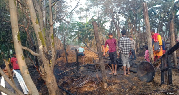 बौधिमाई-२ इनर्वामा आगलागी हुँदा लाखौको क्षति, १ महिला र भैंसी गम्भीर घाइते ।