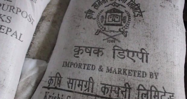 राैतहटमा डीएपी मल अभावले किसान हैरान