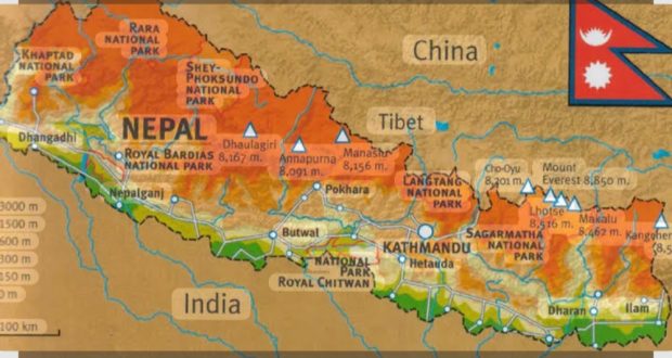 १०० सिटको नतिजा, कसले कति सिट जिते ?