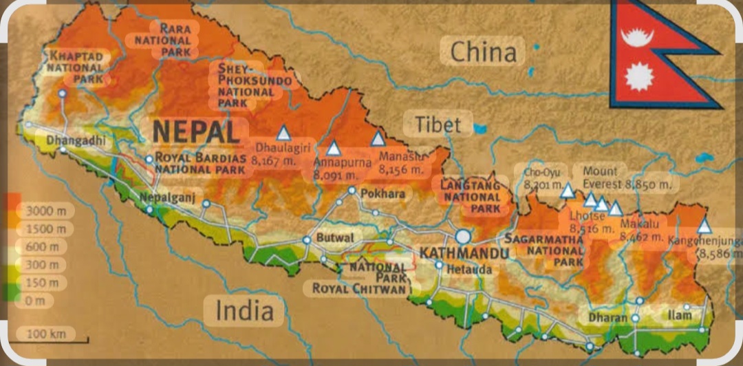 १०० सिटको नतिजा, कसले कति सिट जिते ?